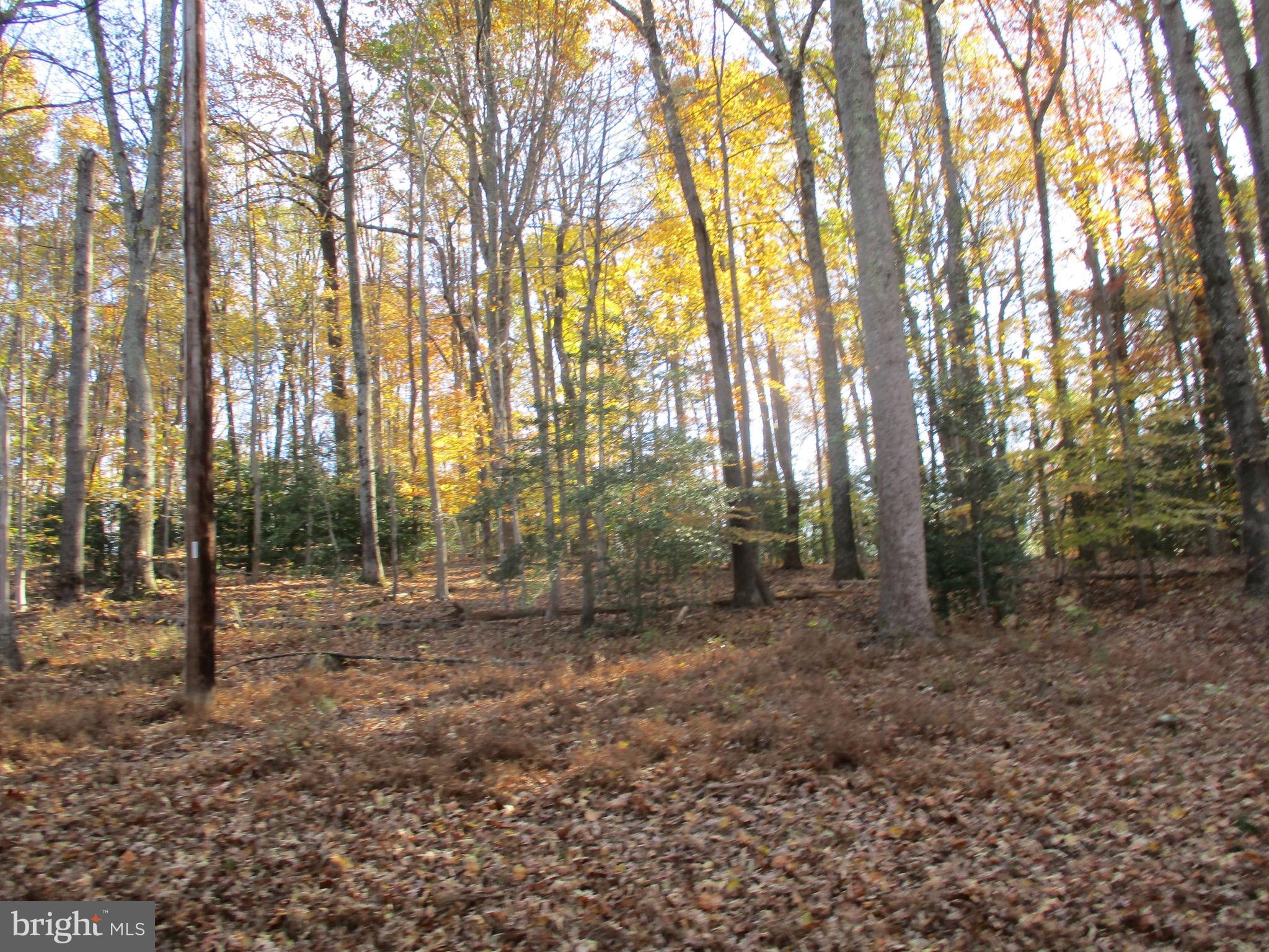 Huntingtown Road Huntingtown, MD 20639 - Photo 15 of 18 View