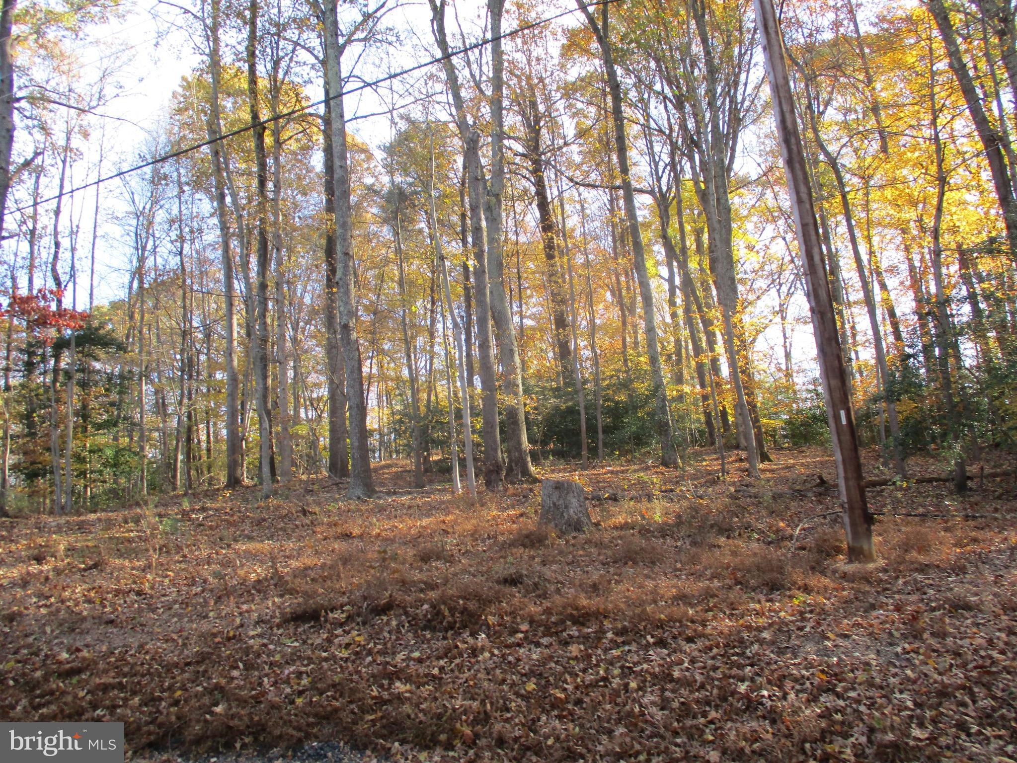 Huntingtown Road Huntingtown, MD 20639 - Photo 16 of 18 View