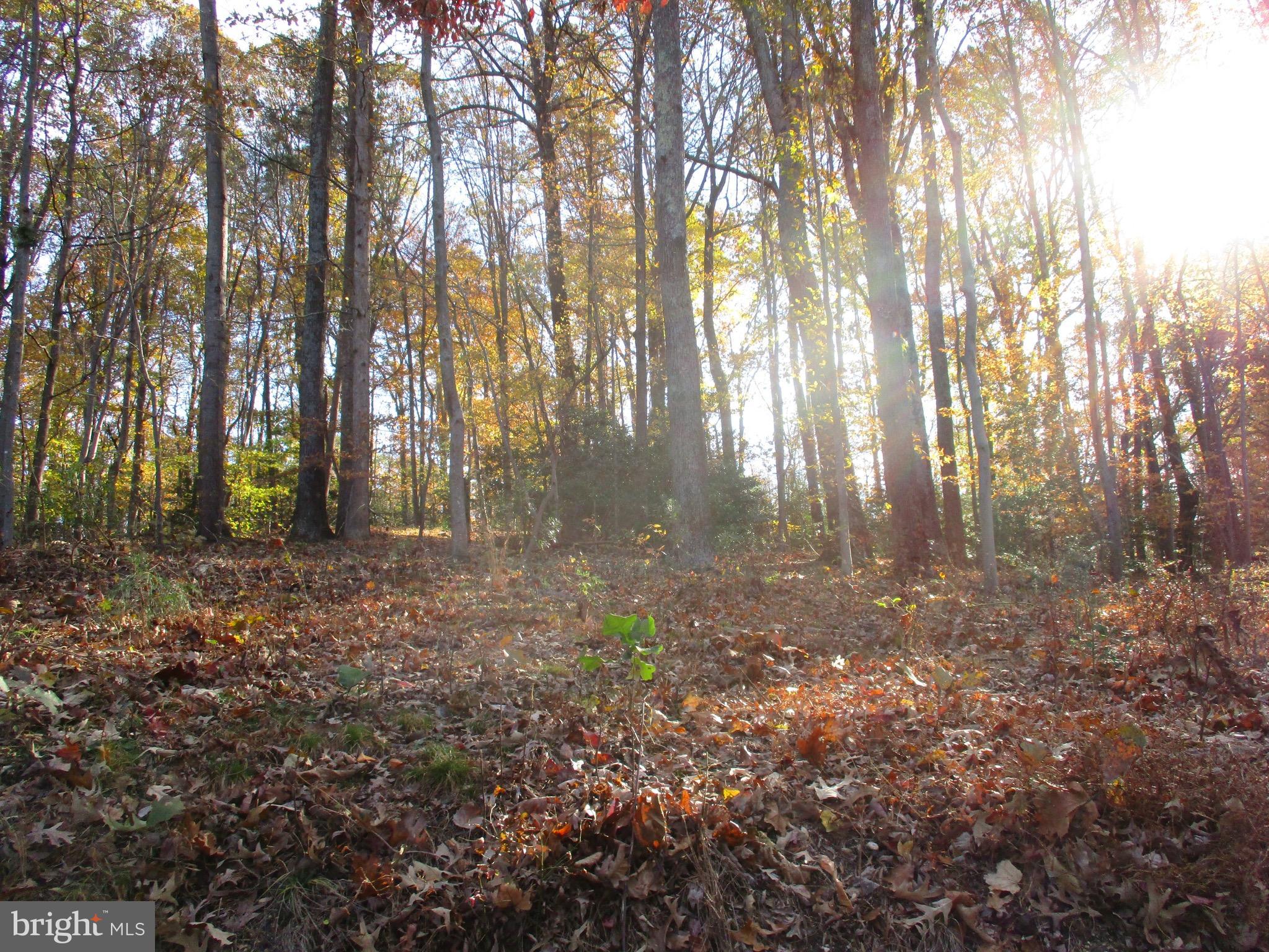 Huntingtown Road Huntingtown, MD 20639 - Photo 17 of 18 View