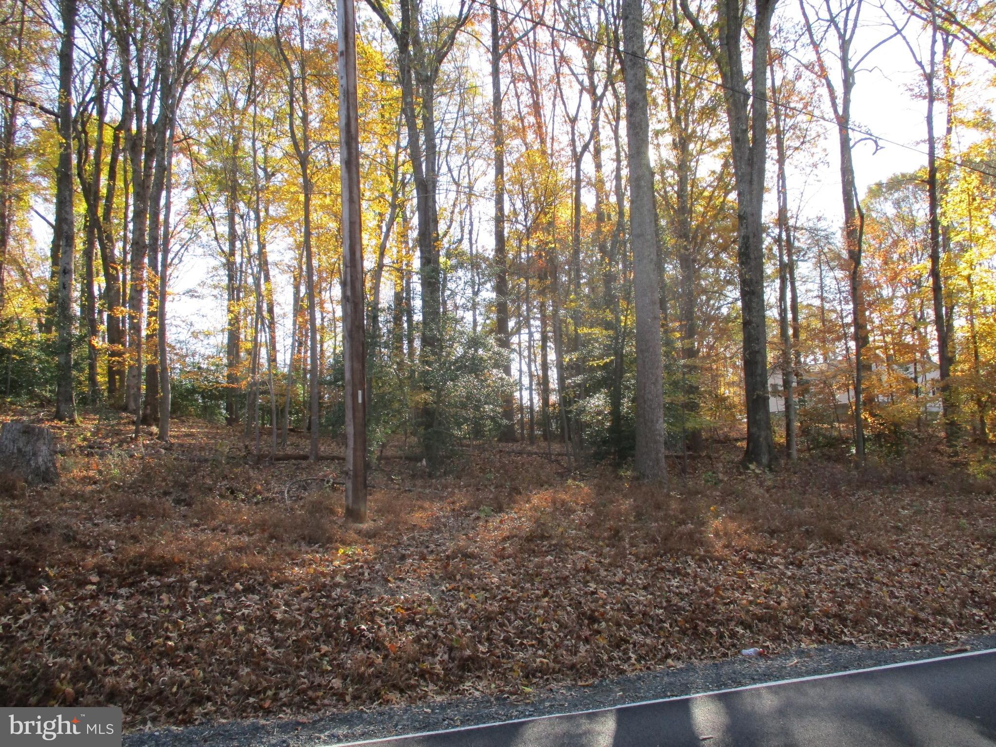 Huntingtown Road Huntingtown, MD 20639 - Photo 5 of 18 View