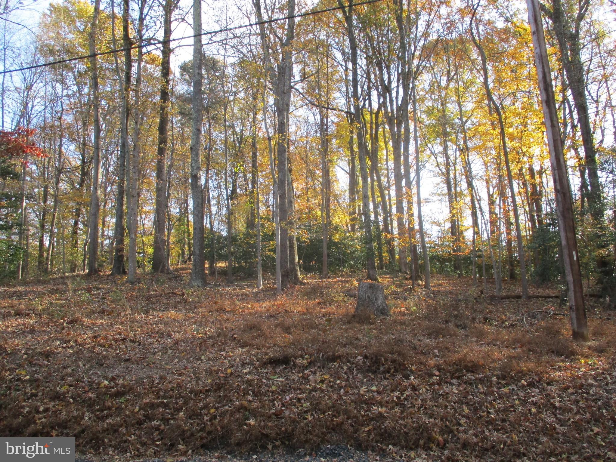 Huntingtown Road Huntingtown, MD 20639 - Photo 6 of 18 Exterior (Front)