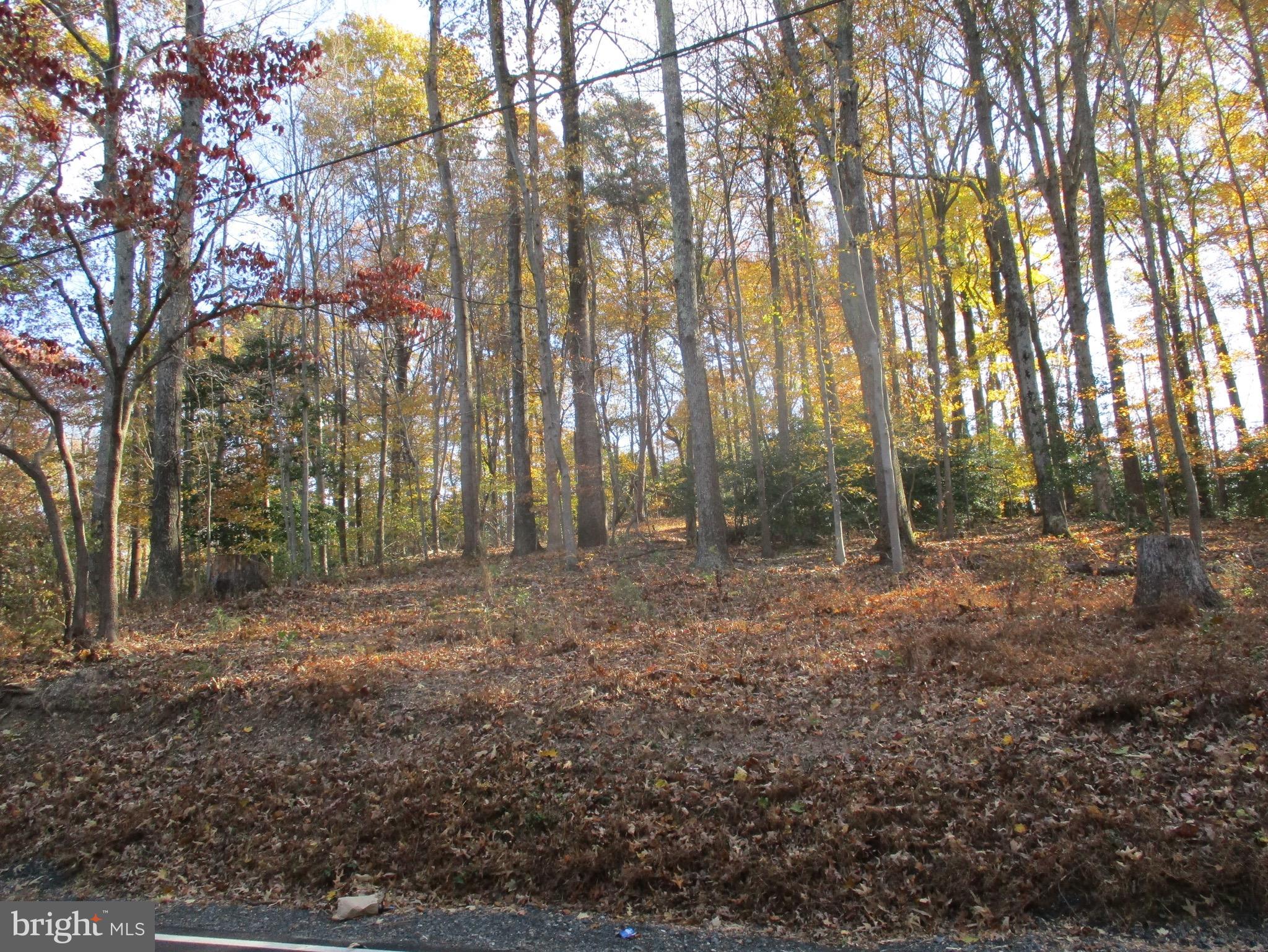 Huntingtown Road Huntingtown, MD 20639 - Photo 7 of 18 View