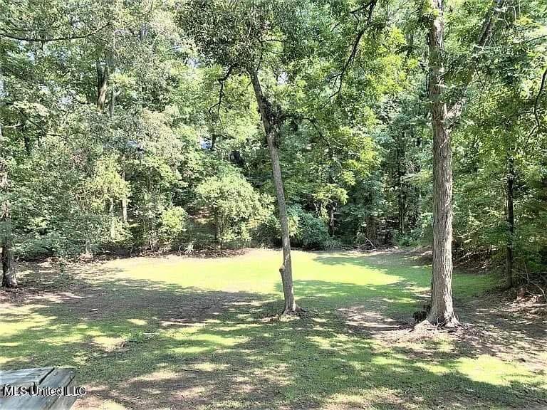 205 Hurricane Road Natchez, MS 39120 - Photo 28 of 28 IMG_4773