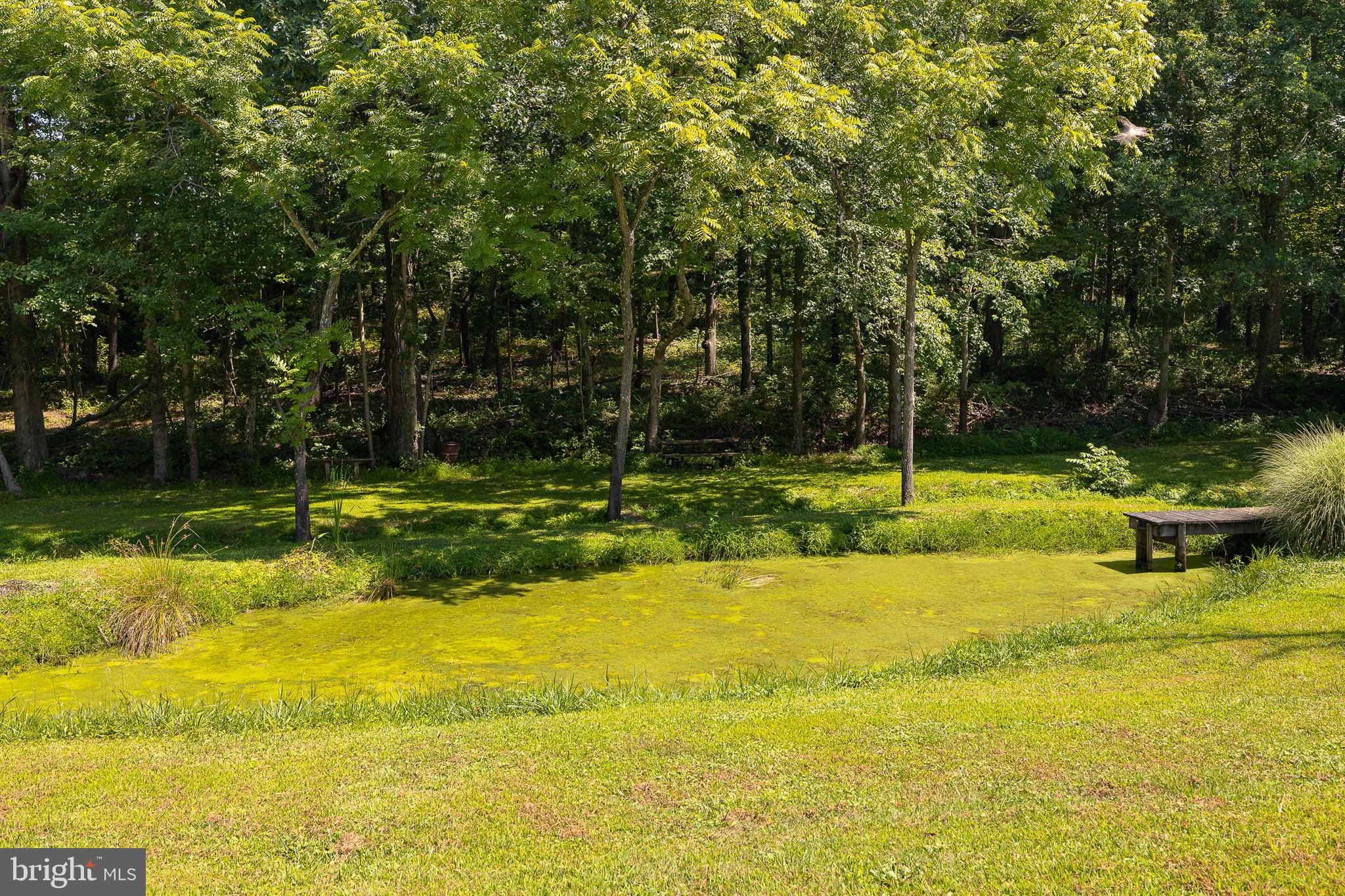 3871 Rectortown Road Marshall, VA 20115 - Photo 14 of 76 Gallery Image 14