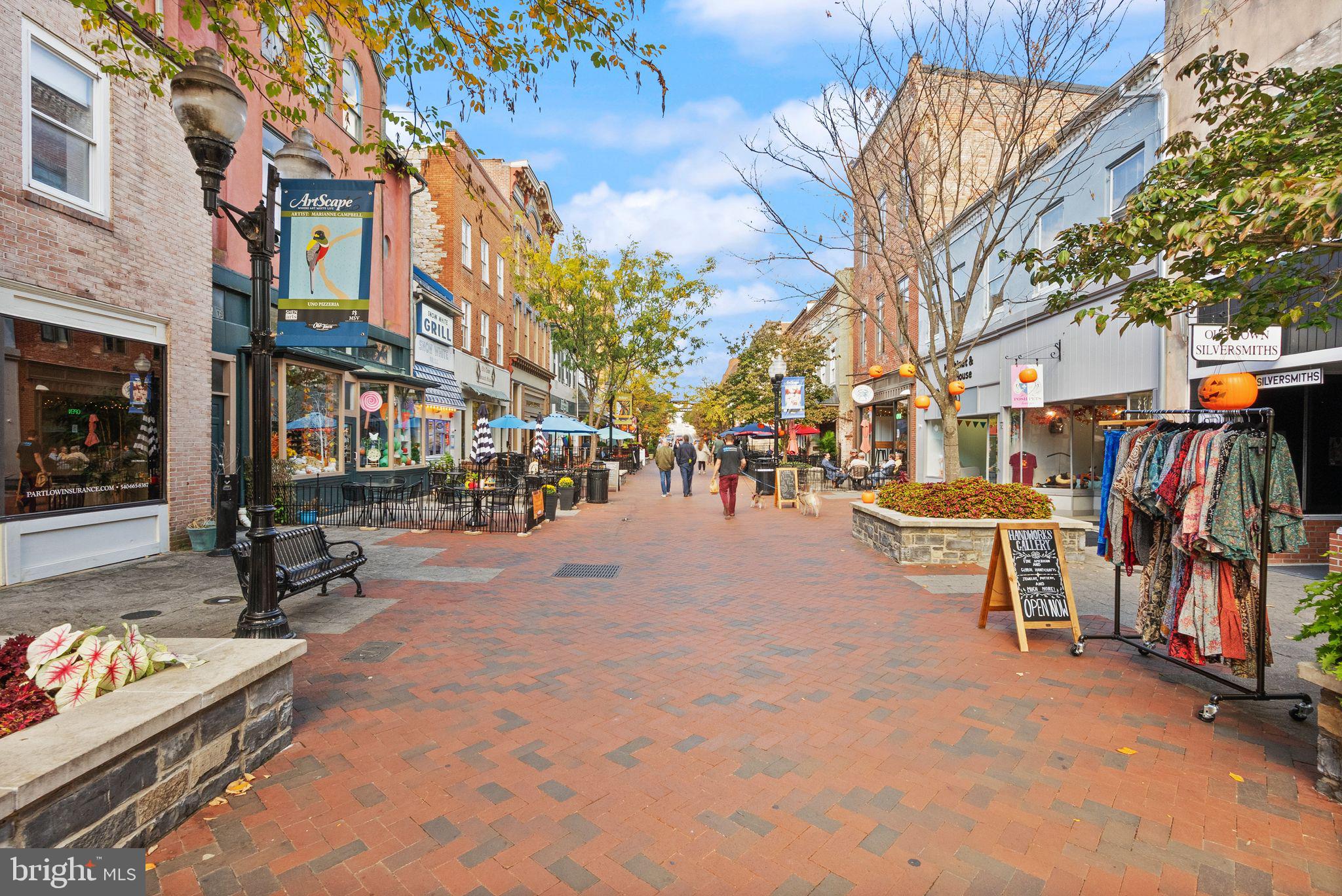 131 Interlace Way Stephenson, VA 22656 - Photo 66 of 71 Local shops