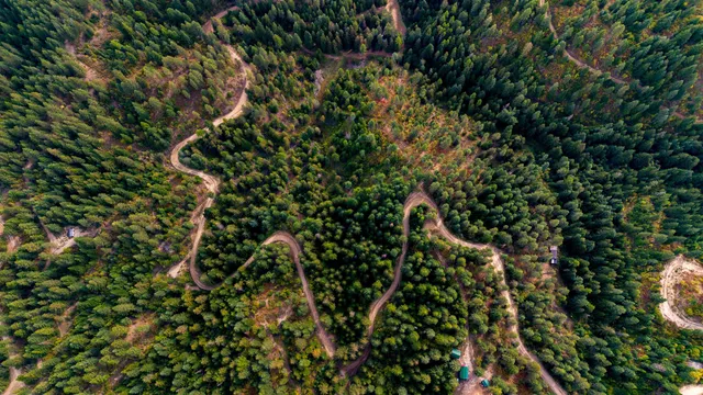 $75,000 | 4450 Buck Creek Road, Loon Lake, WA 99148