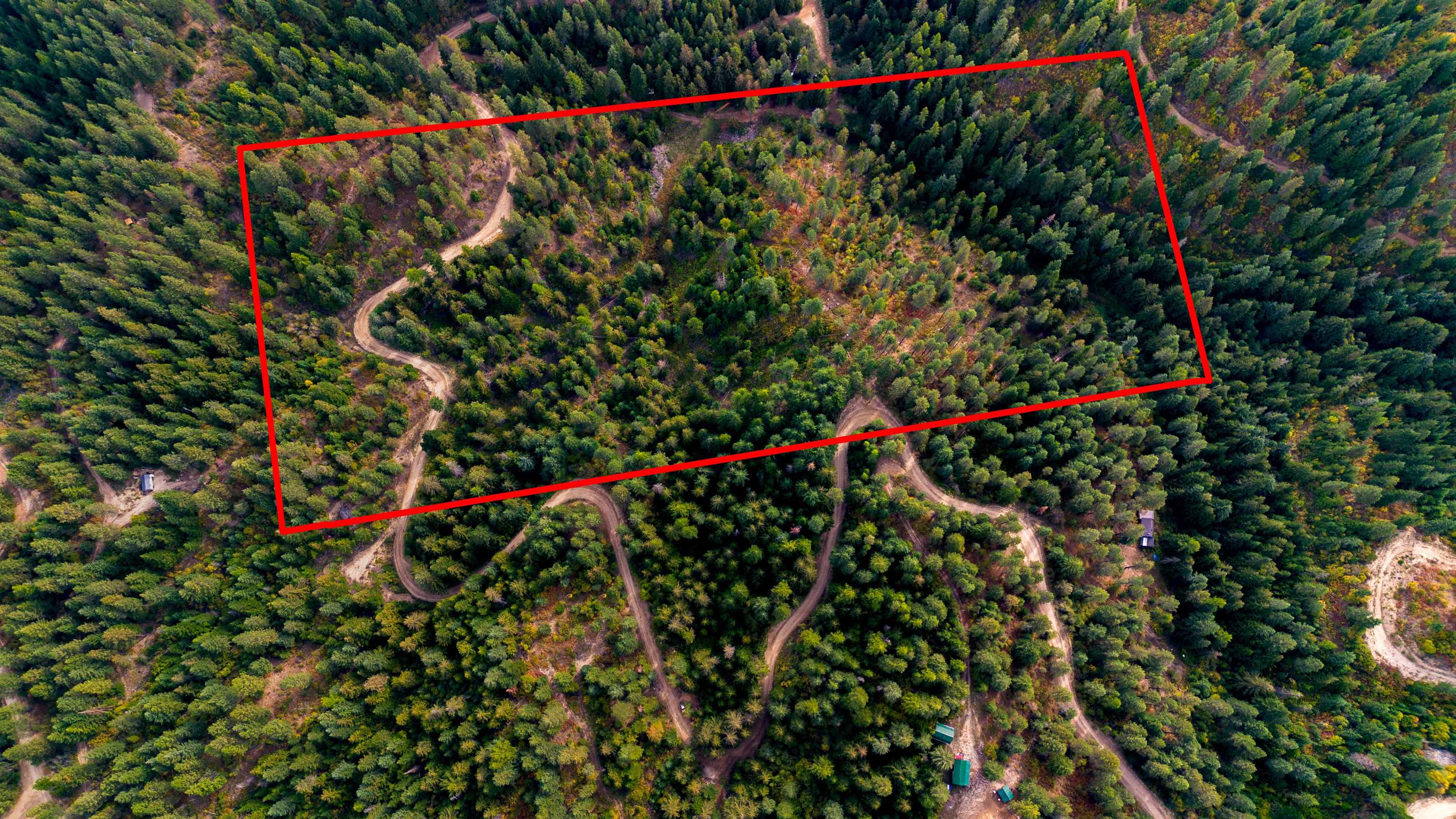 4450 Buck Creek Road Loon Lake, WA 99148 - Photo 12 of 14