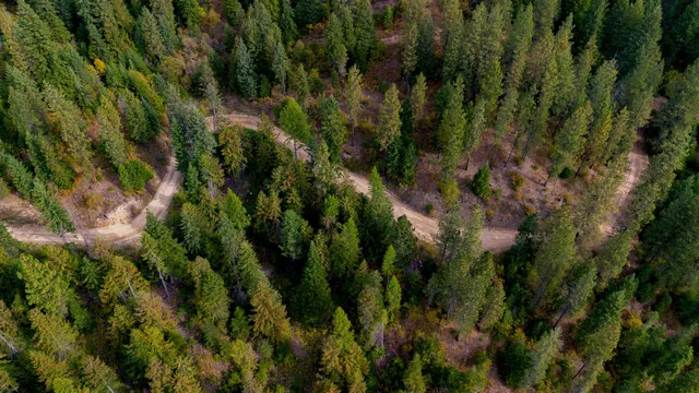 $75,000 | 4450 Buck Creek Road, Loon Lake, WA 99148