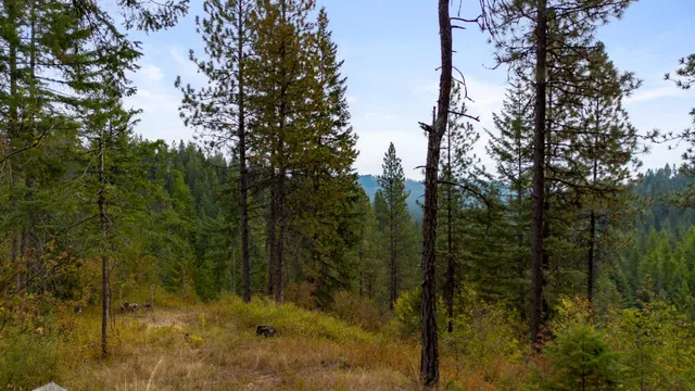 $75,000 | 4450 Buck Creek Road, Loon Lake, WA 99148