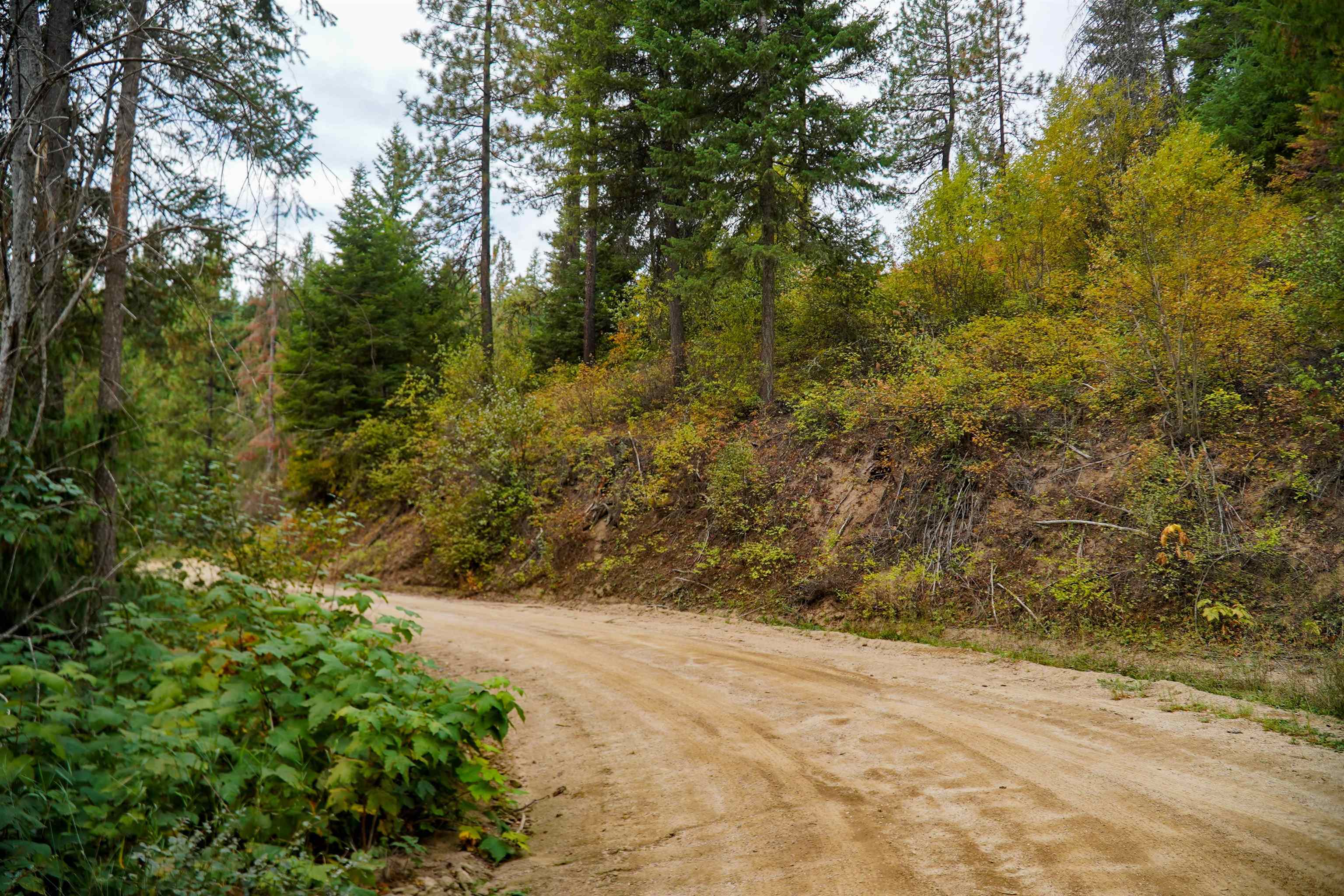 4450 Buck Creek Road Loon Lake, WA 99148 - Photo 5 of 14