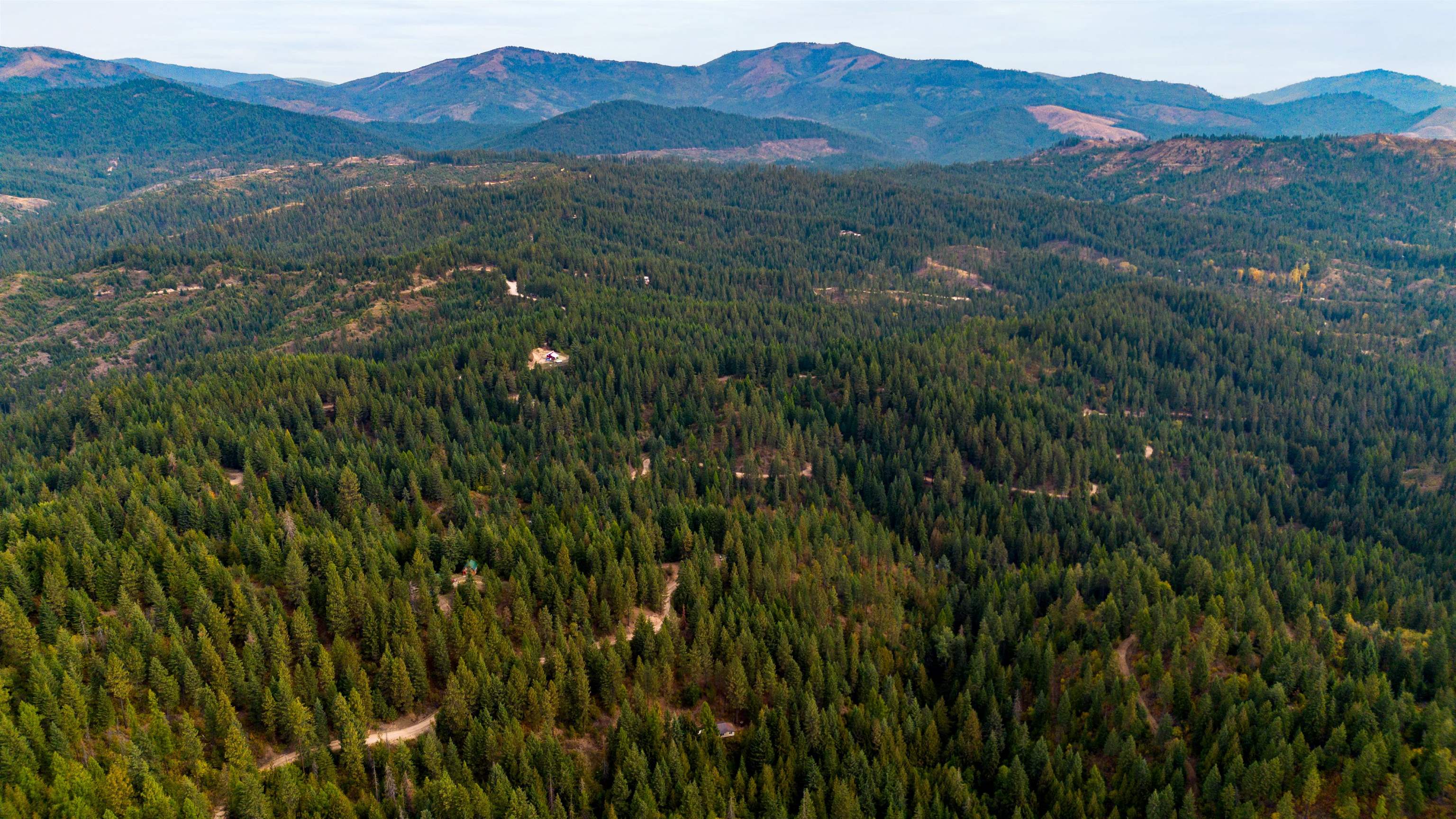 4450 Buck Creek Road Loon Lake, WA 99148 - Photo 6 of 14