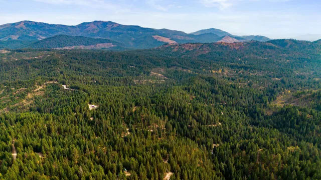 $75,000 | 4450 Buck Creek Road, Loon Lake, WA 99148