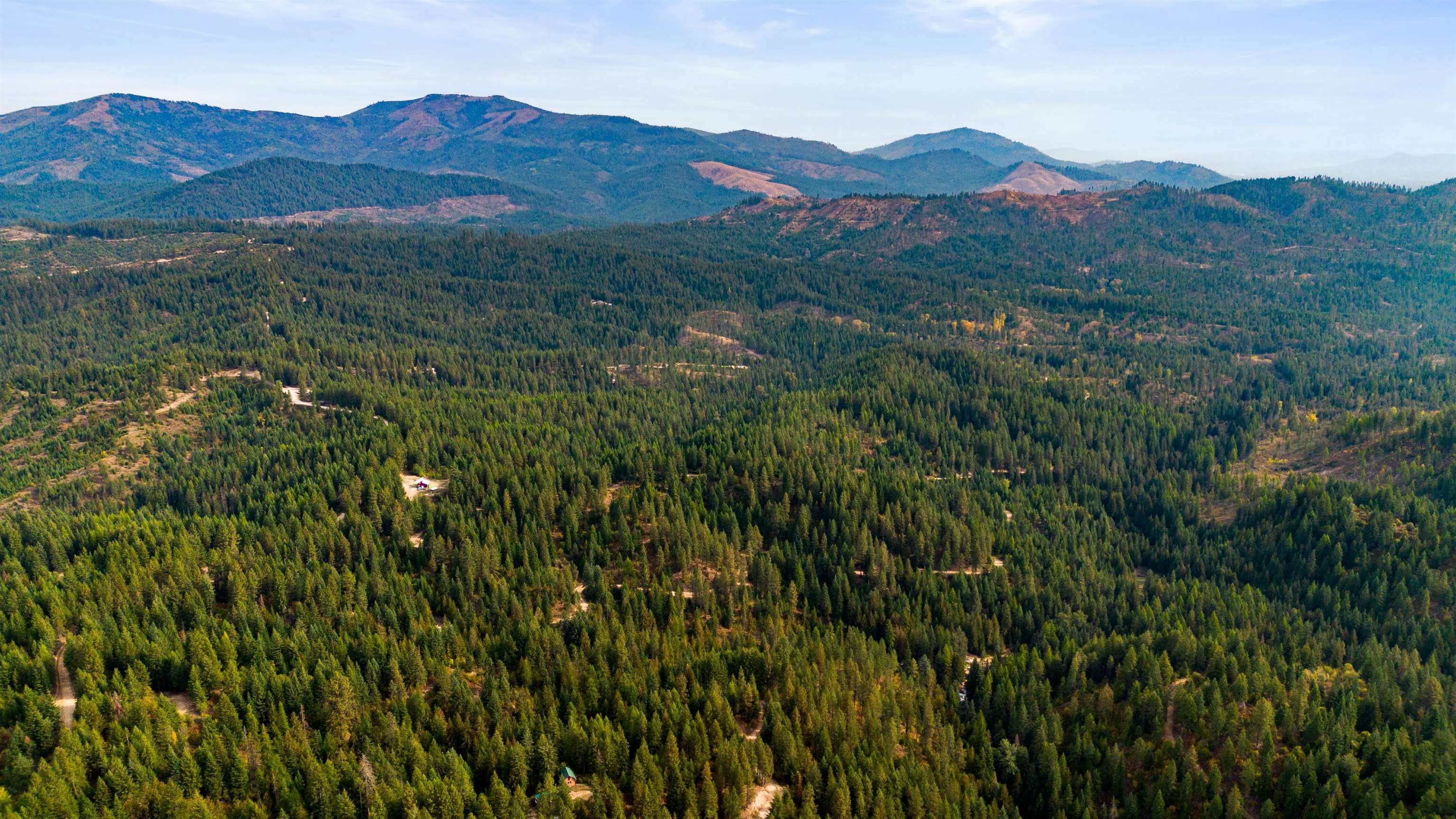 4450 Buck Creek Road Loon Lake, WA 99148 - Photo 7 of 14