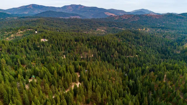 $75,000 | 4450 Buck Creek Road, Loon Lake, WA 99148