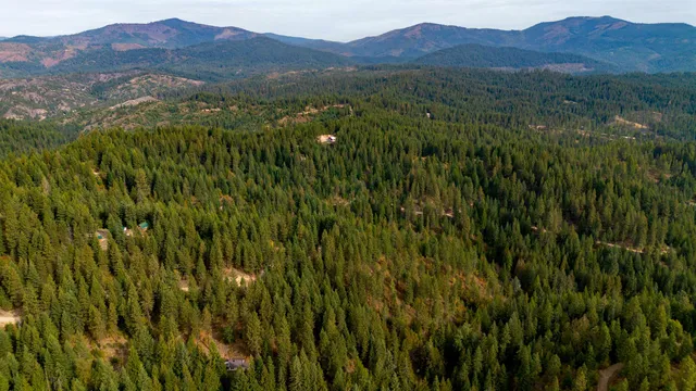 $75,000 | 4450 Buck Creek Road, Loon Lake, WA 99148