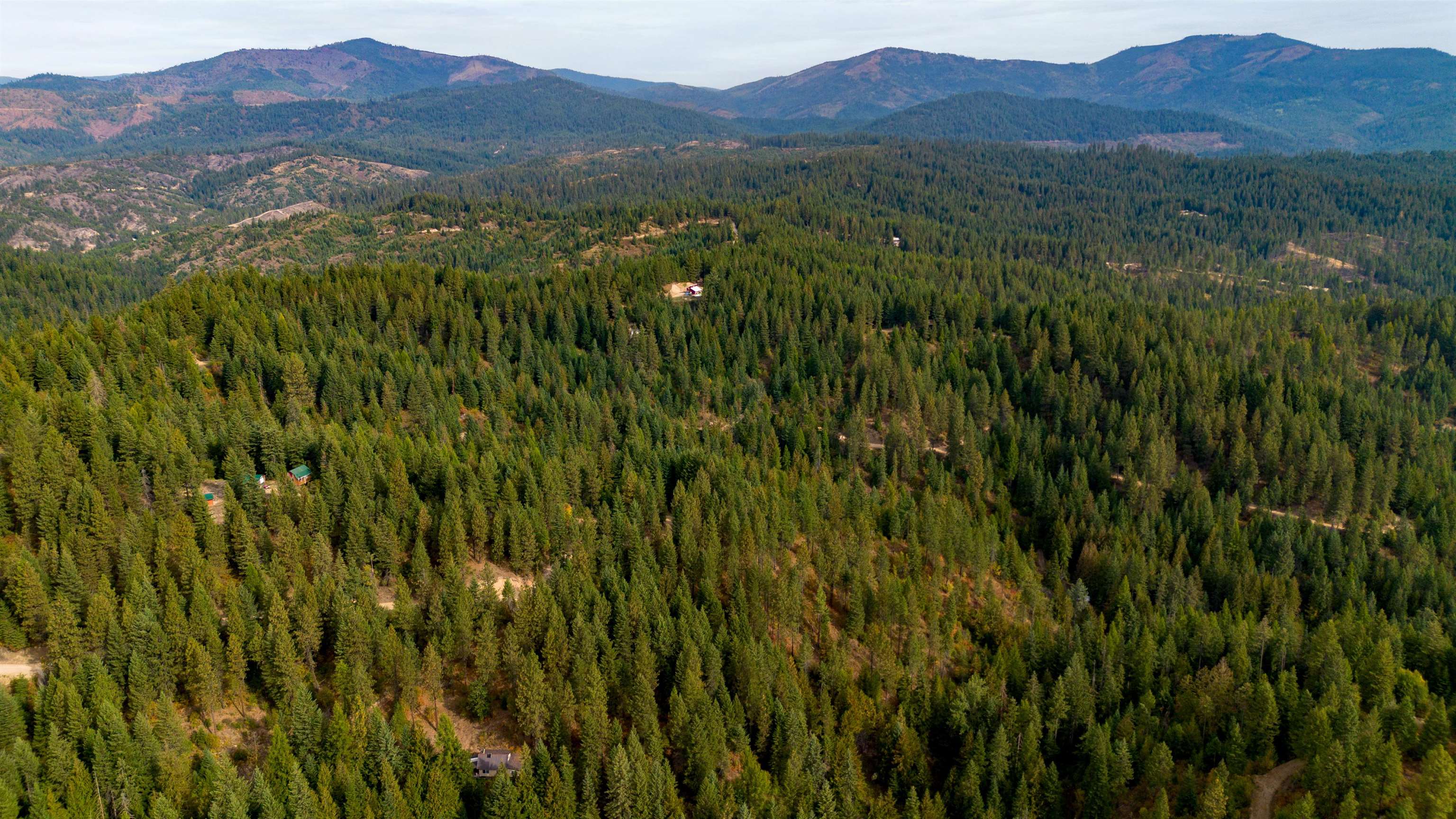 4450 Buck Creek Road Loon Lake, WA 99148 - Photo 9 of 14