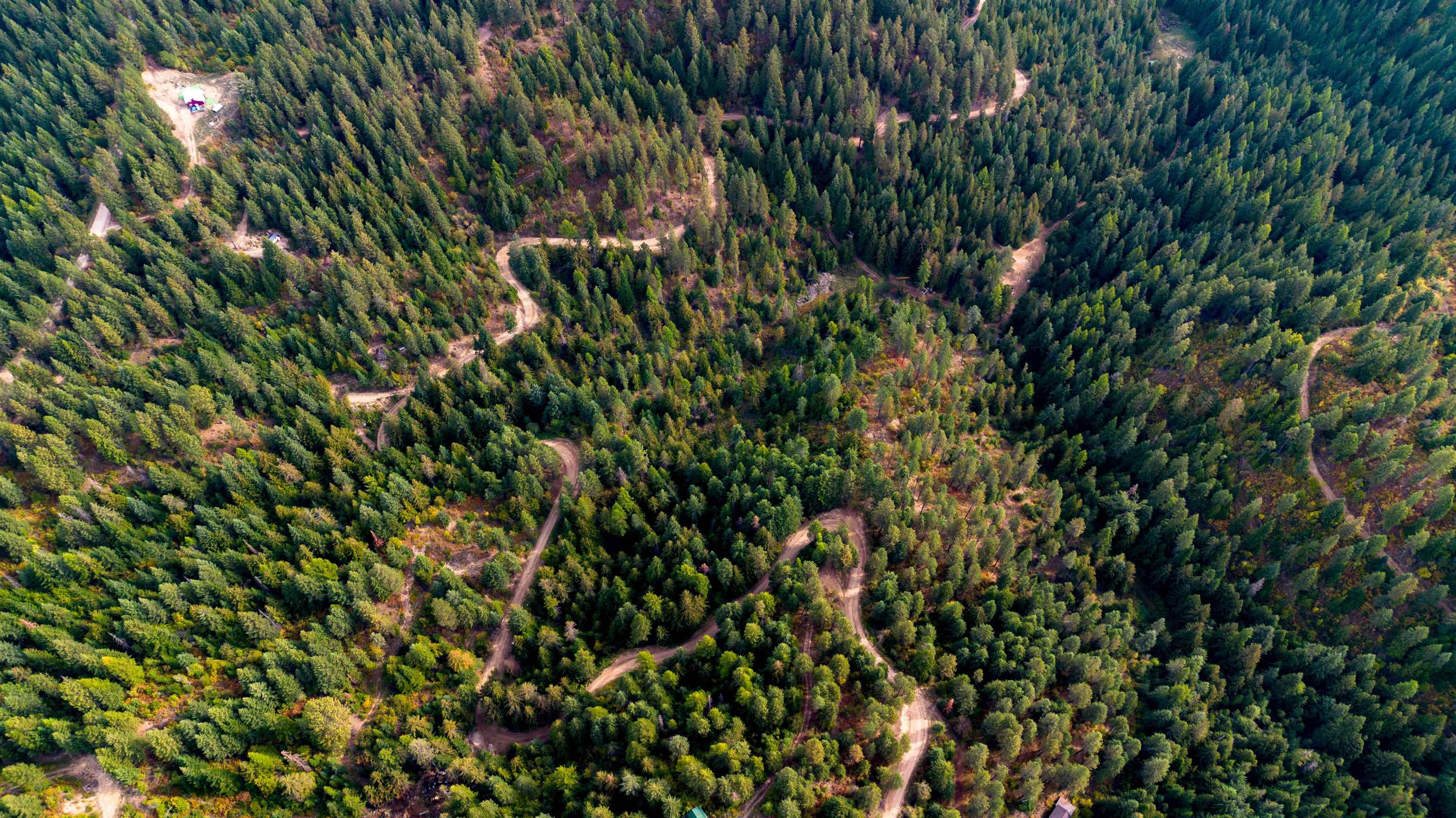 4450 Buck Creek Road Loon Lake, WA 99148 - Photo 10 of 14