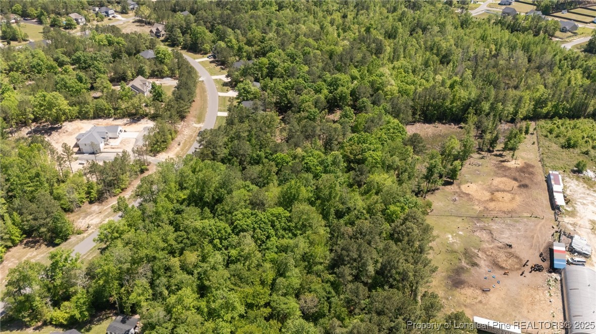219 Stella Way Cameron, NC 28326 - Photo 13 of 21 a view of a yard with plants and tree