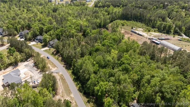 a view of a yard with plants and large trees