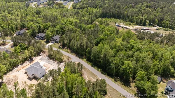 a view of a forest with a houses