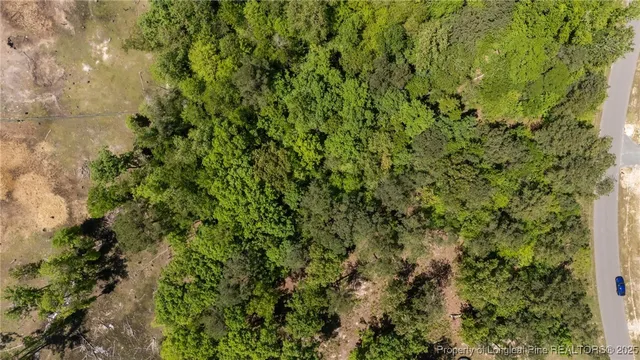 a view of a lush green forest with lots of trees