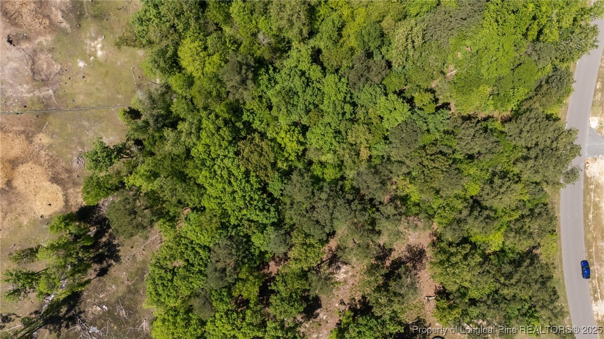 219 Stella Way Cameron, NC 28326 - Photo 20 of 21 a view of a lush green forest with lots of trees