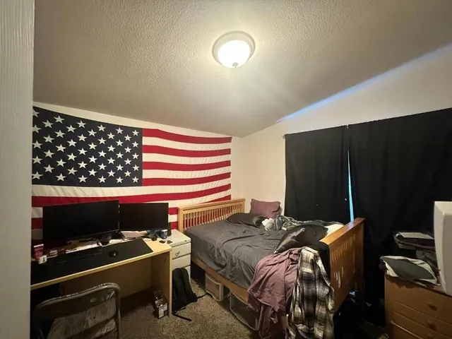 a bedroom with a bed and a desk