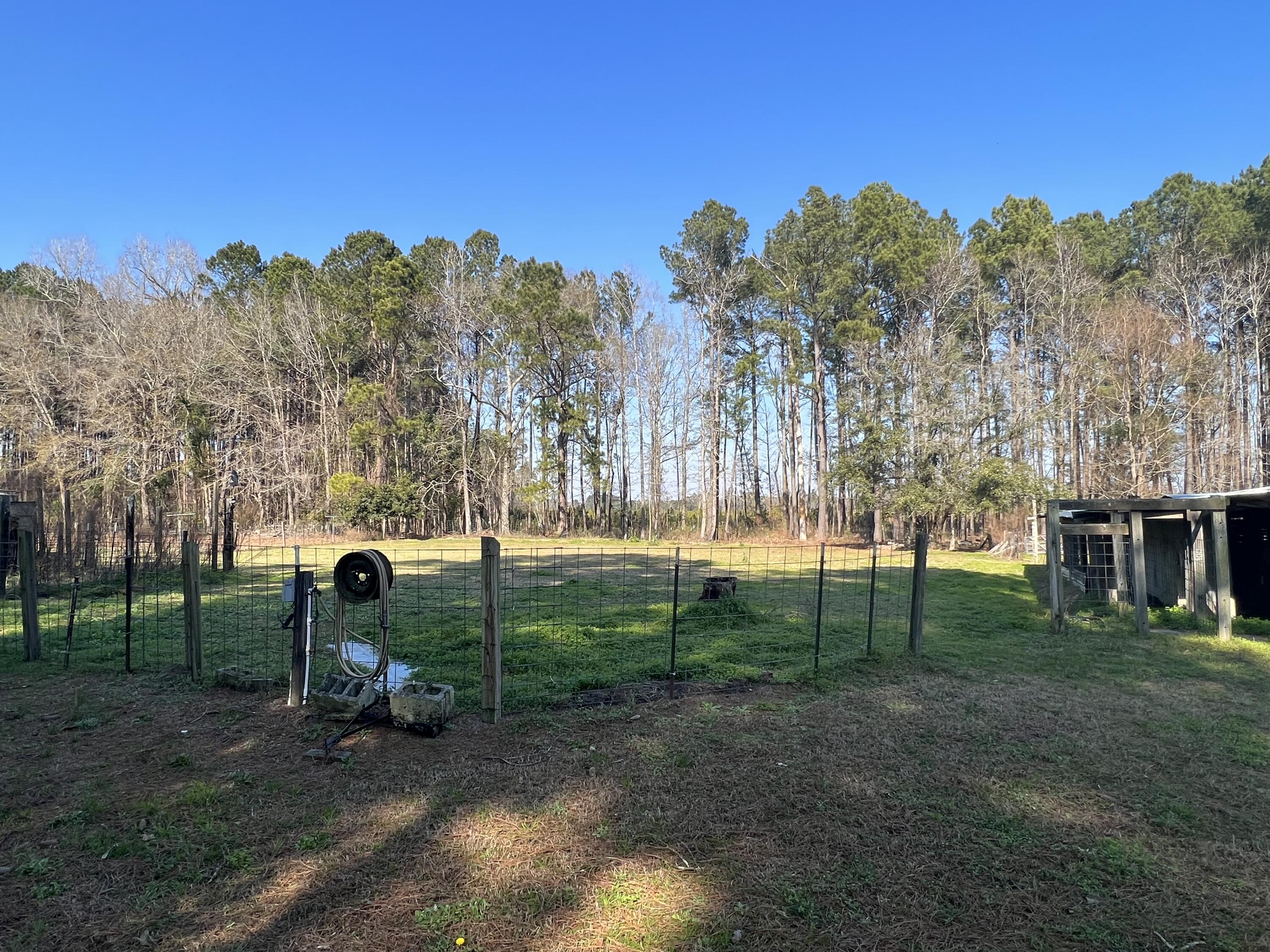 11538 Bell's Highway Ruffin, SC 29475 - Photo 5 of 9 22E8E364-E36E-4227-9C9E-A57E57194FA2