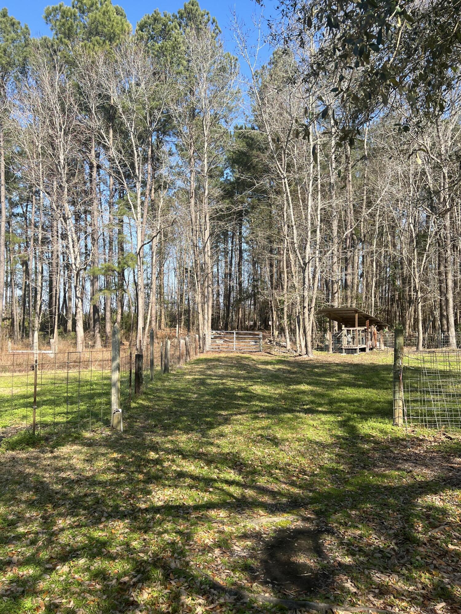 11538 Bell's Highway Ruffin, SC 29475 - Photo 6 of 9 967D5EFC-3104-42FF-BD4F-8B60F0838A1B