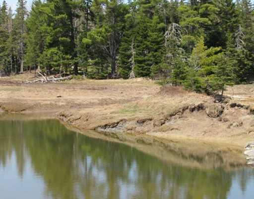 Lot#006 County Road Perry, ME 04667 - Photo 2 of 10 Land/Lot. Along the shore of the...