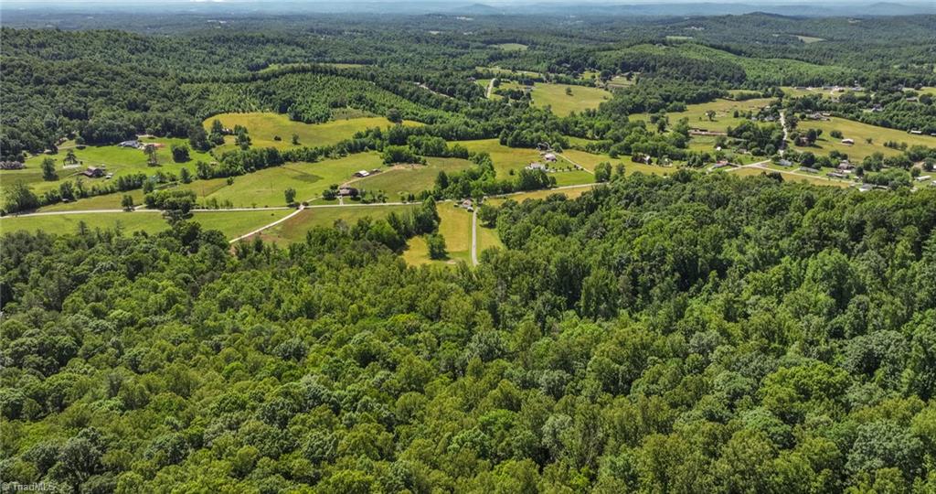 Tbd Shingle Gap Road Purlear, NC 28665 - Photo 12 of 20