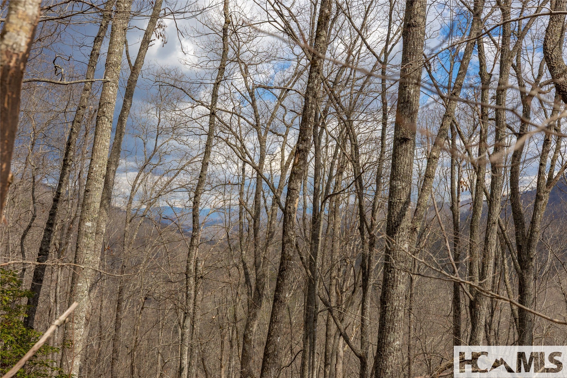 Lot 55 Cullowhee Forest Road Cullowhee, NC 28723 - Photo 11 of 32 Gallery Image 11