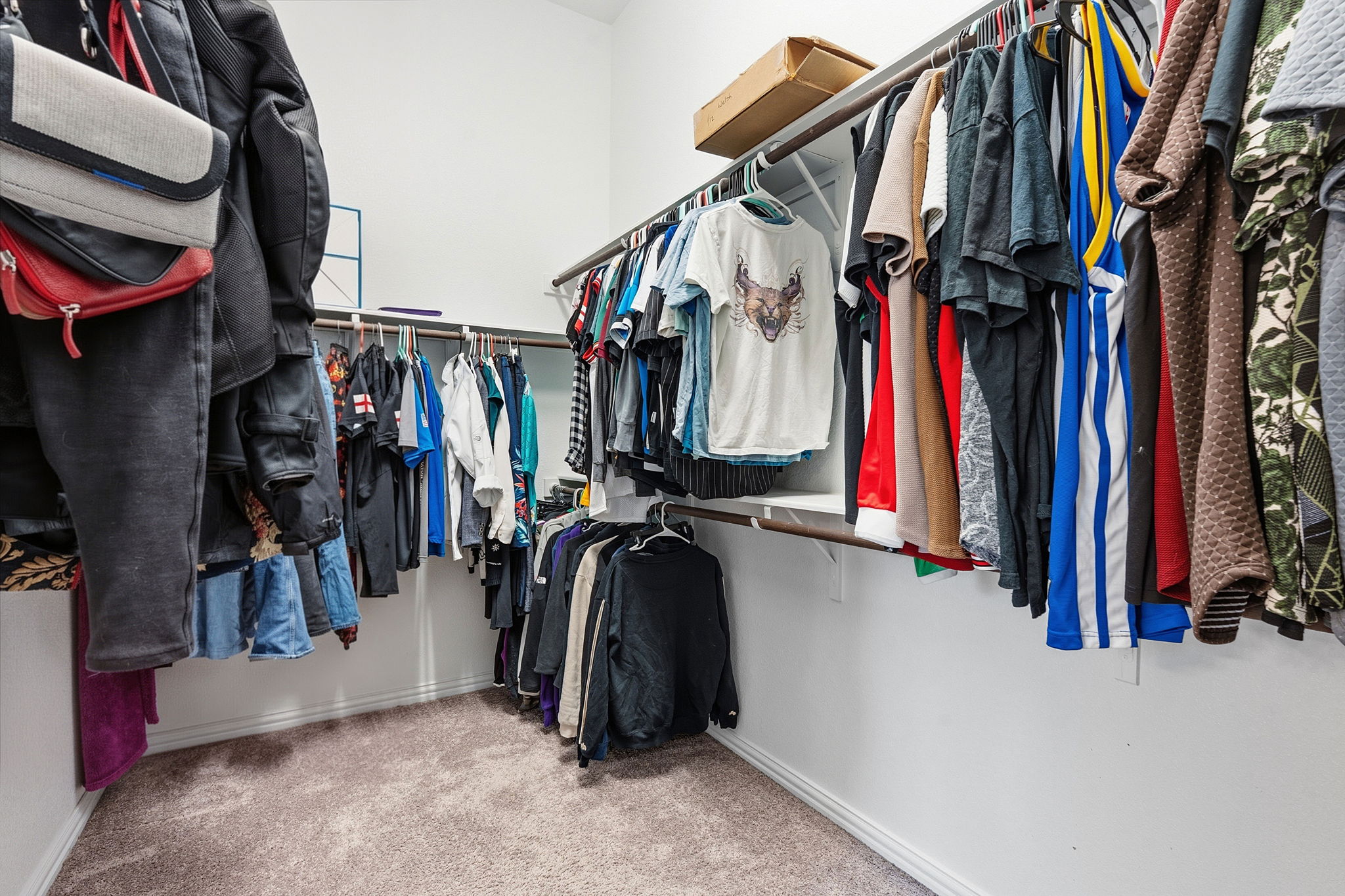 12616 Twisted Root Drive Manchaca, TX 78652 - Photo 19 of 36 The primary walk-in closet comes with comfortable carpeting.