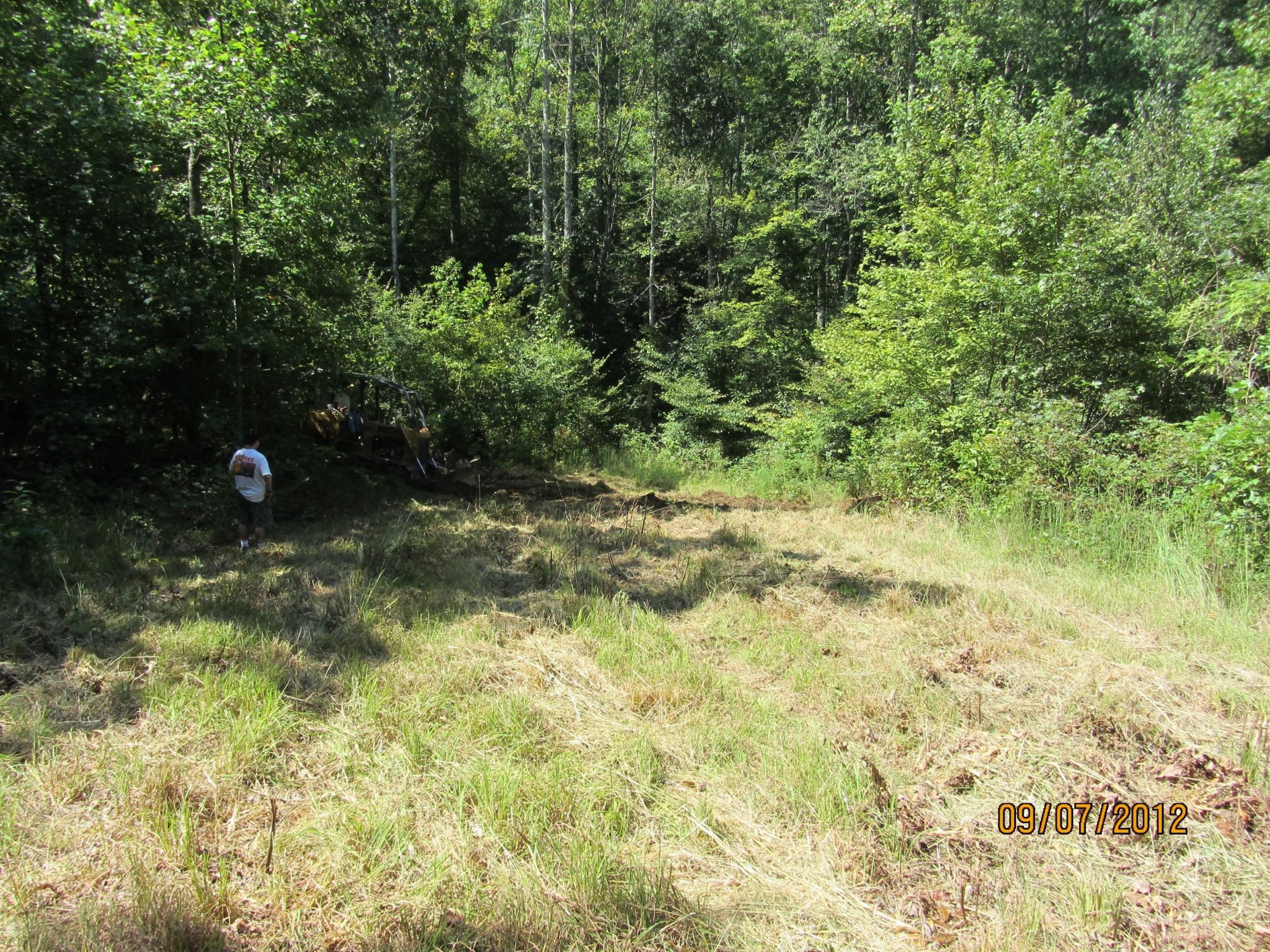 0 Co Road Riceville, TN 37370 - Photo 8 of 11 Gallery Image 8