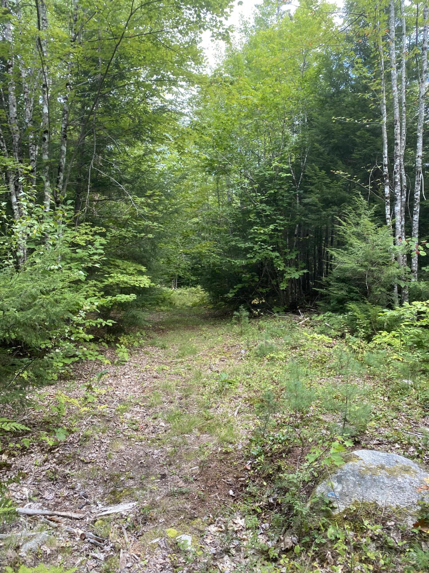 Tbd Abi Road Otisfield, ME 04270 - Photo 9 of 14 IMG_4567