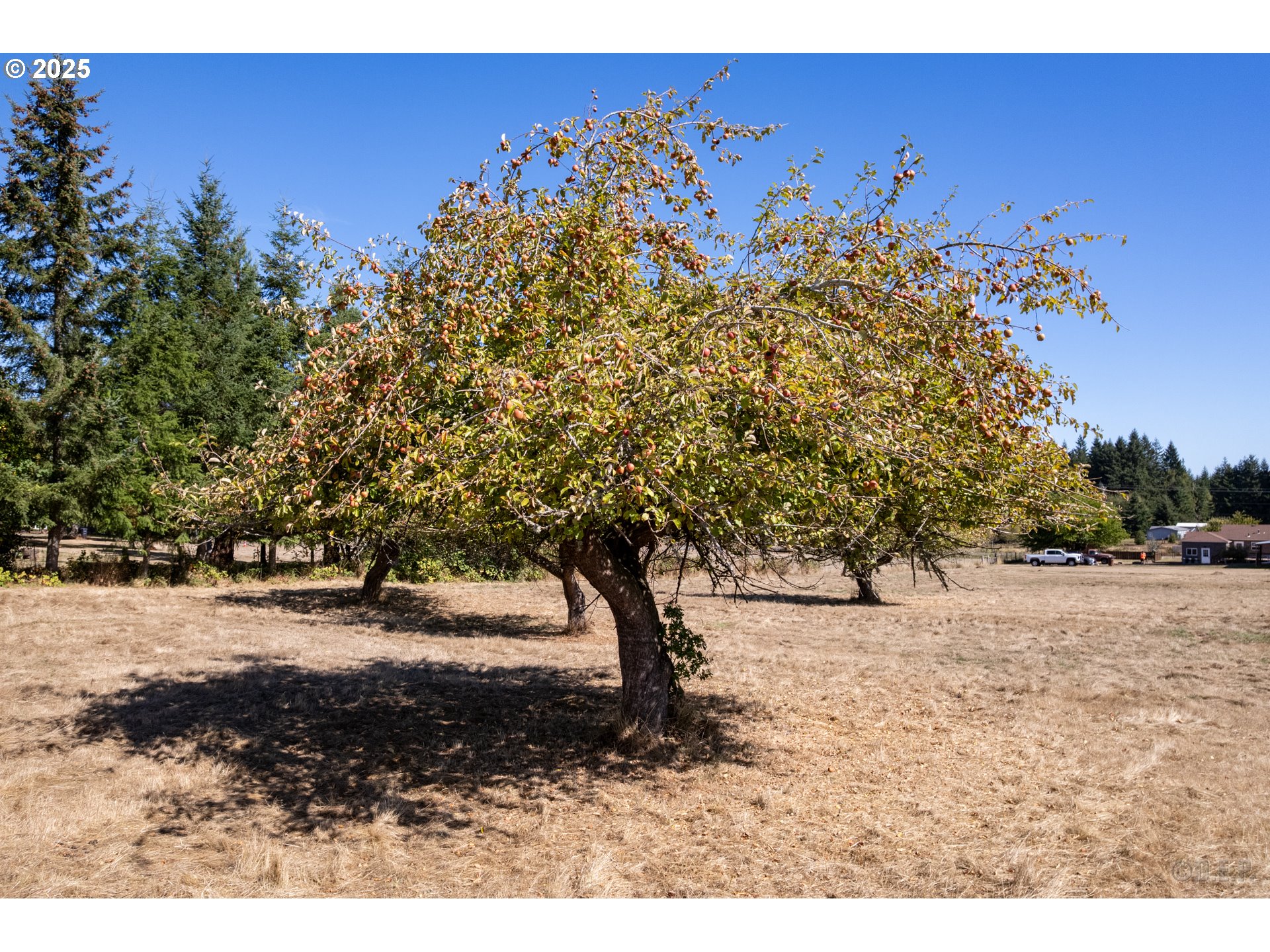 76521 Delena Mayger Road Rainier, OR 97048 - Photo 18 of 27