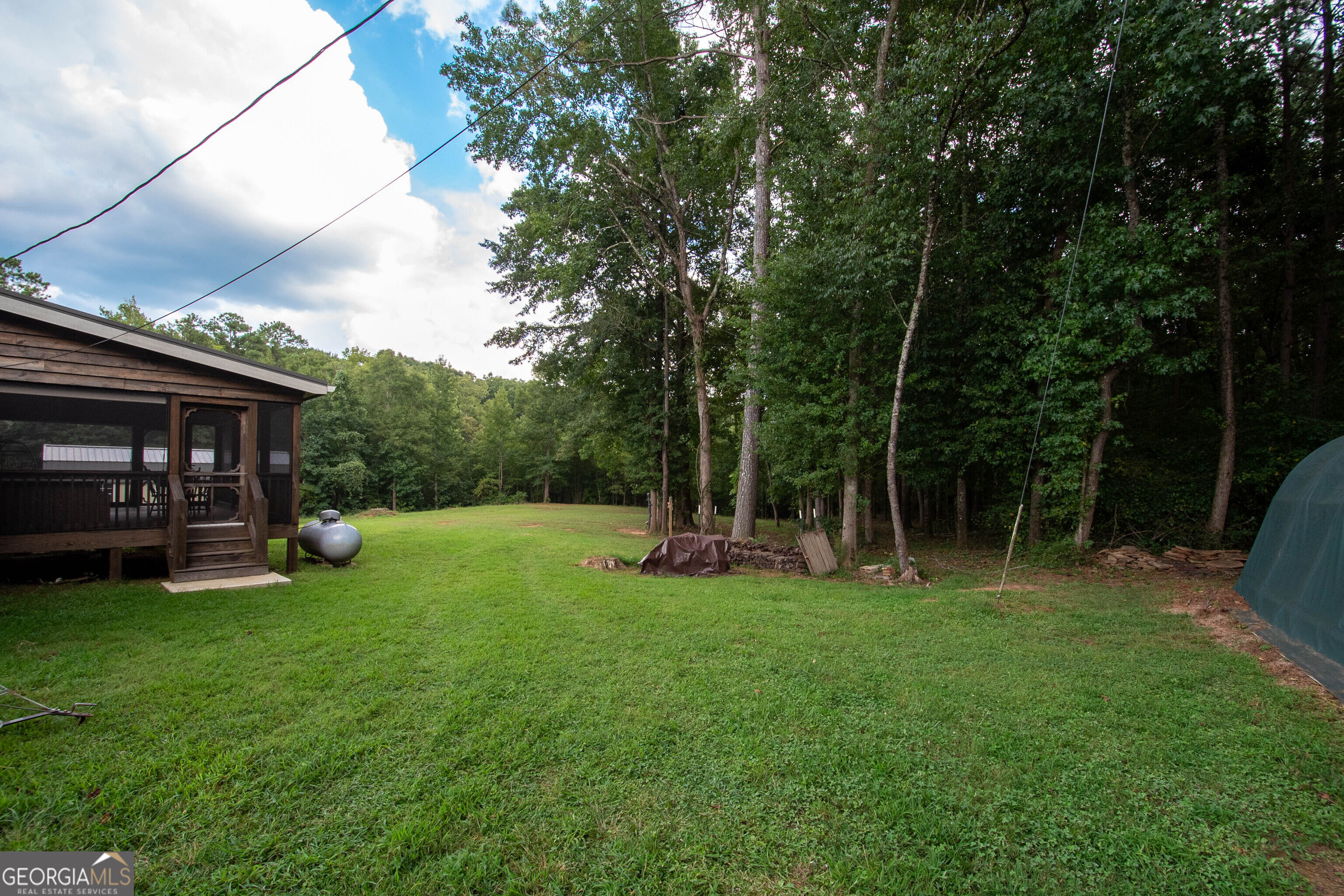 971 Bo Bo Banks Road Grantville, GA 30220 - Photo 9 of 52 Gallery Image 9