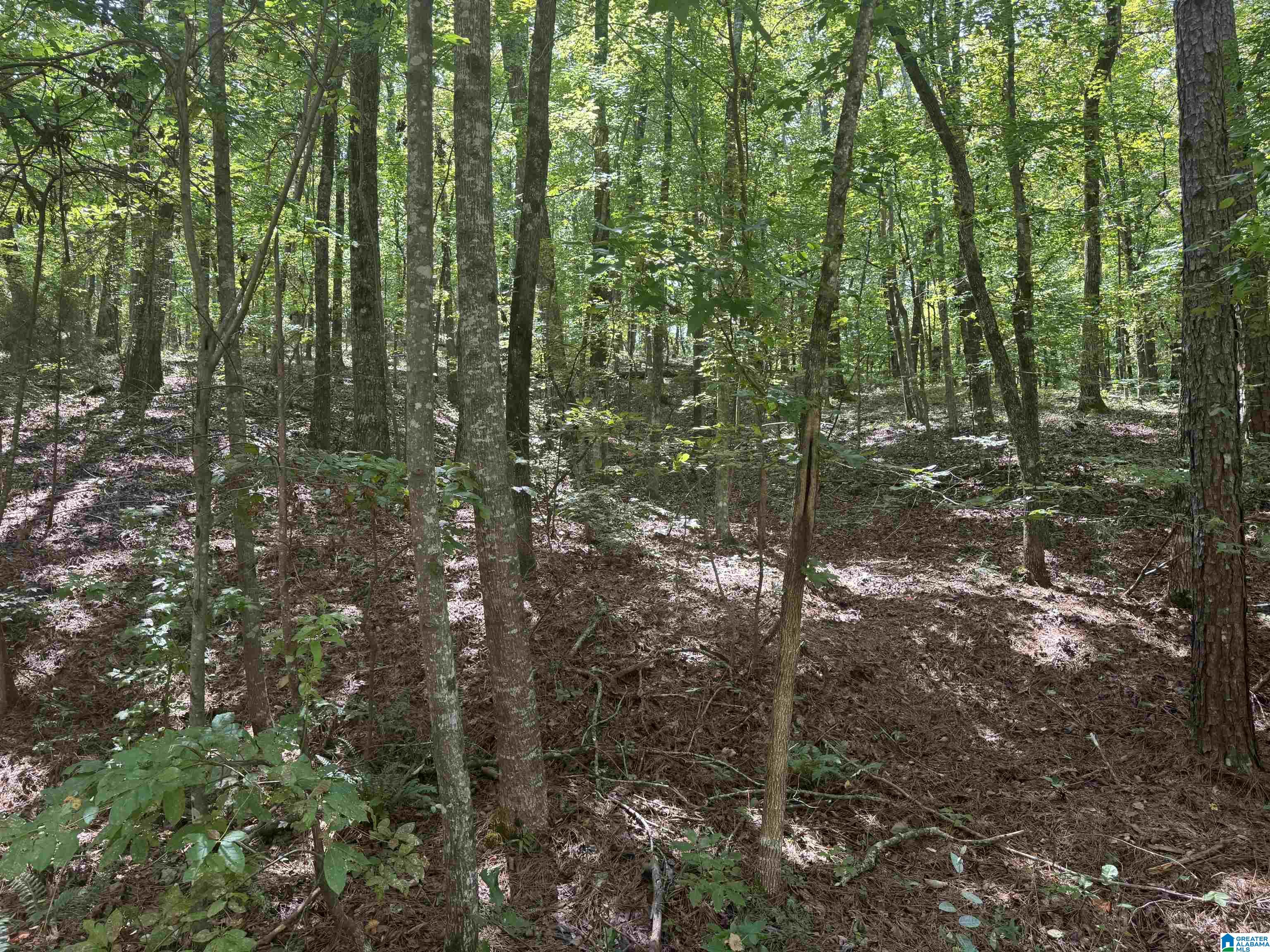 85 Mohawk Court, Unit 22 Ohatchee, AL 36271 - Photo 29 of 37
