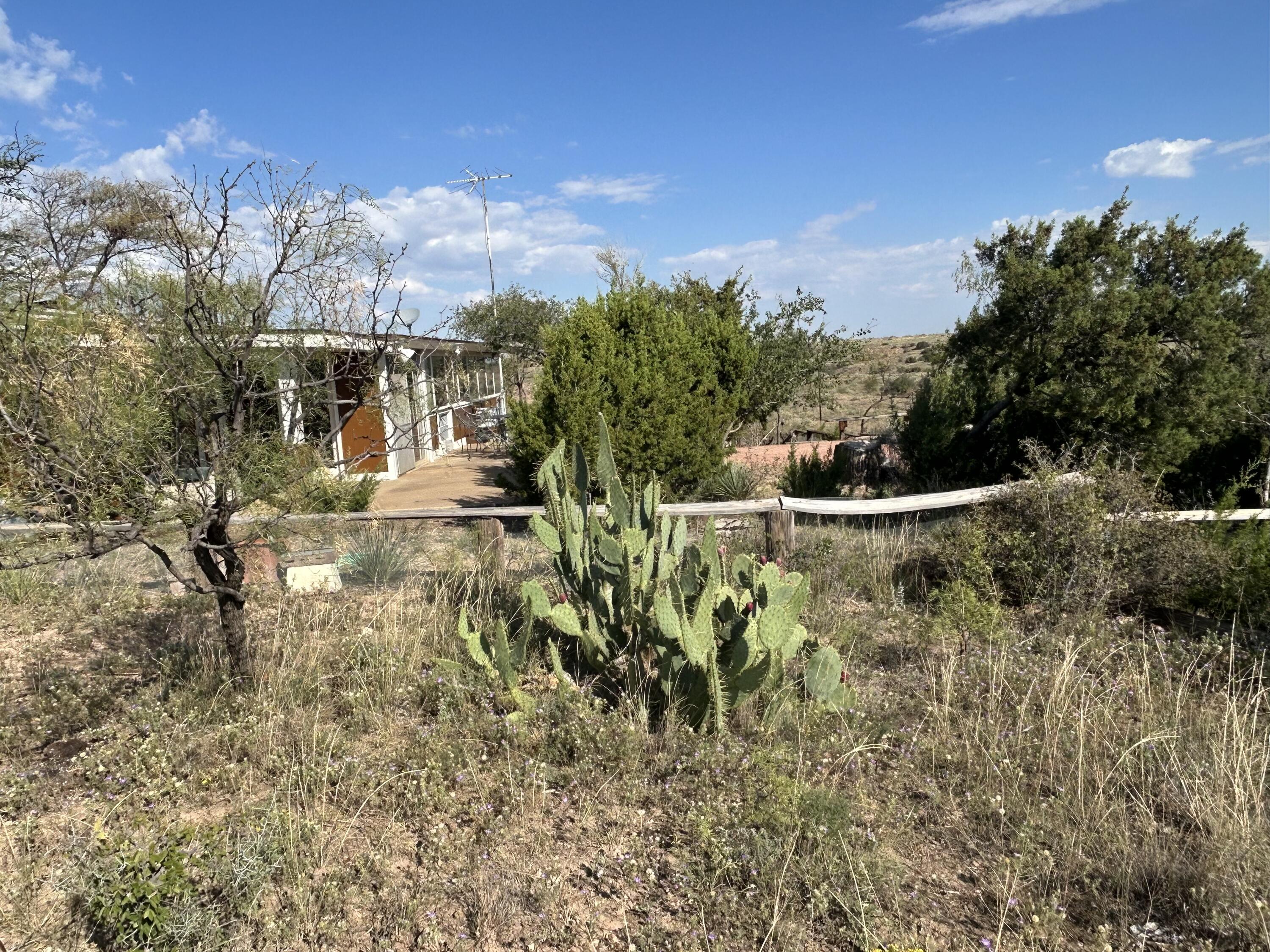 a view of outdoor space and street view