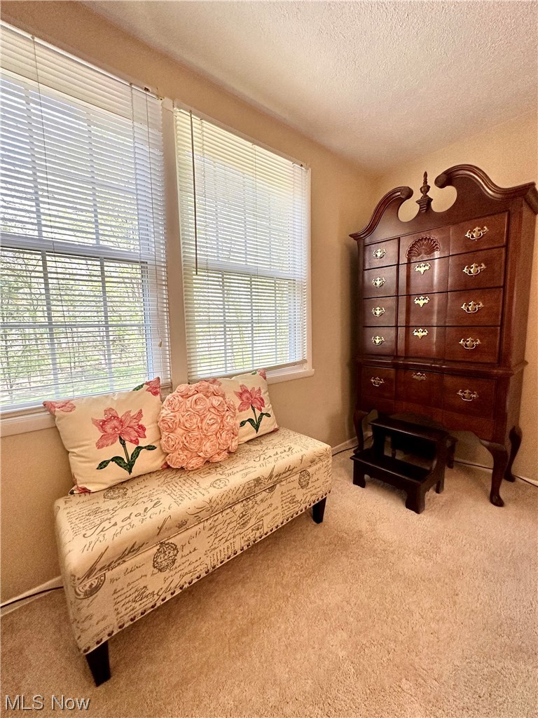 7699 Raglan Drive Northeast Warren, OH 44484 - Photo 19 of 34