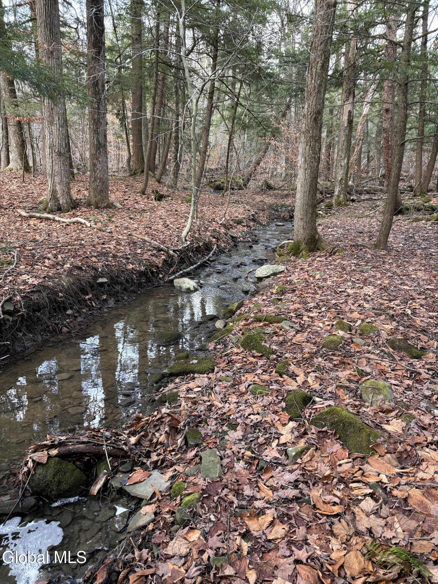 3109 Lake Road Delanson, NY 12053 - Photo 66 of 72 67) 72536-6a22149ded7ac