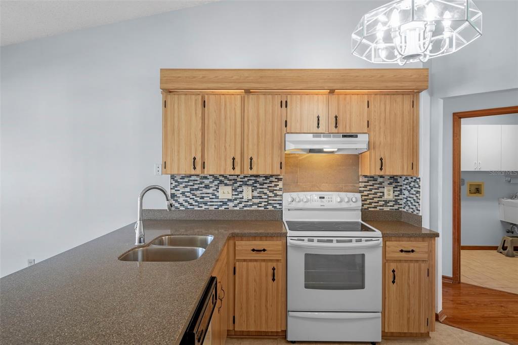 1542 Overland Drive Spring Hill, FL 34608 - Photo 19 of 58