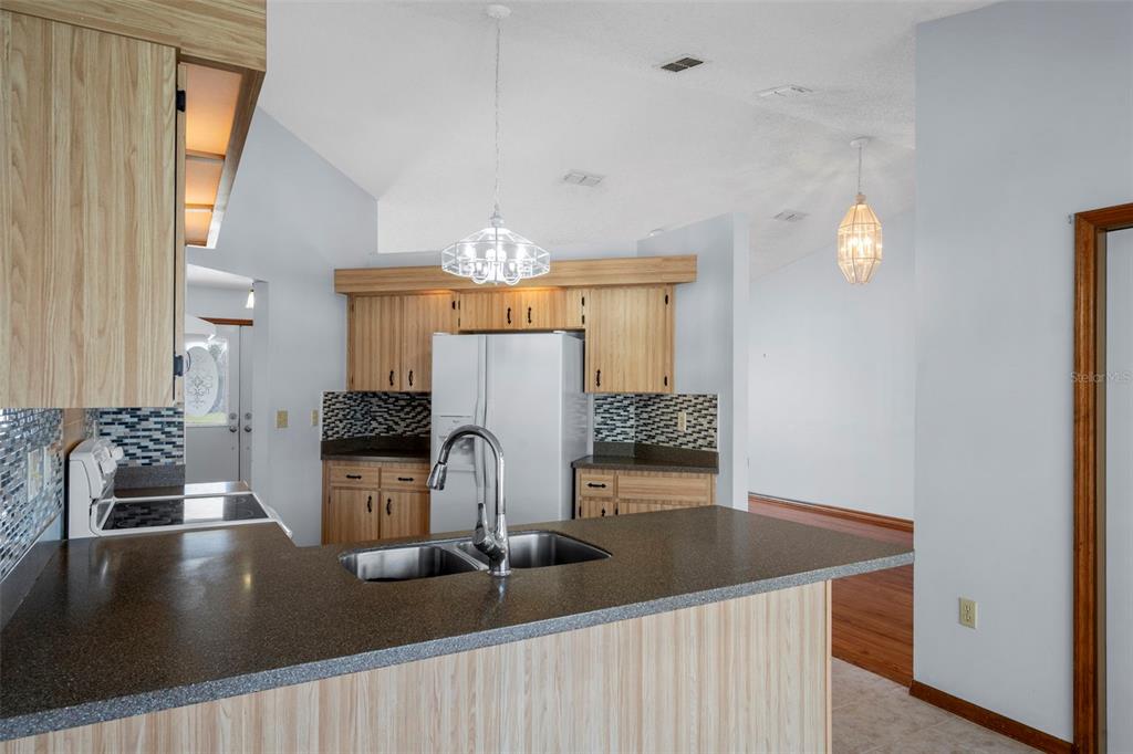 1542 Overland Drive Spring Hill, FL 34608 - Photo 21 of 58