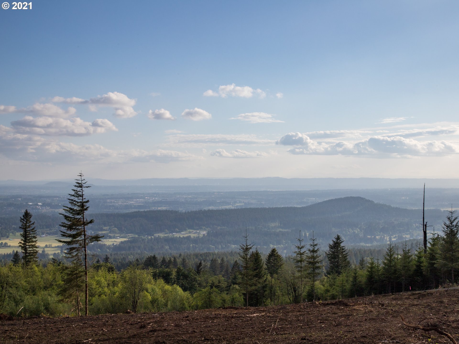 0 Northeast 65th Street, Unit WEST Camas, WA 98607 - Photo 5 of 27