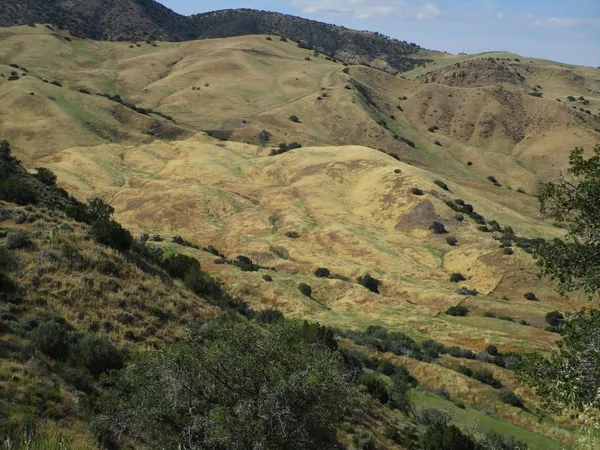 $999,999 | 0 New Idria Road, Paicines, CA 95043