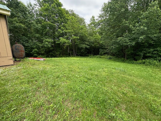 313 Waldo Station Road Waldo, ME 04915 - Photo 47 of 48 unnamed (6)