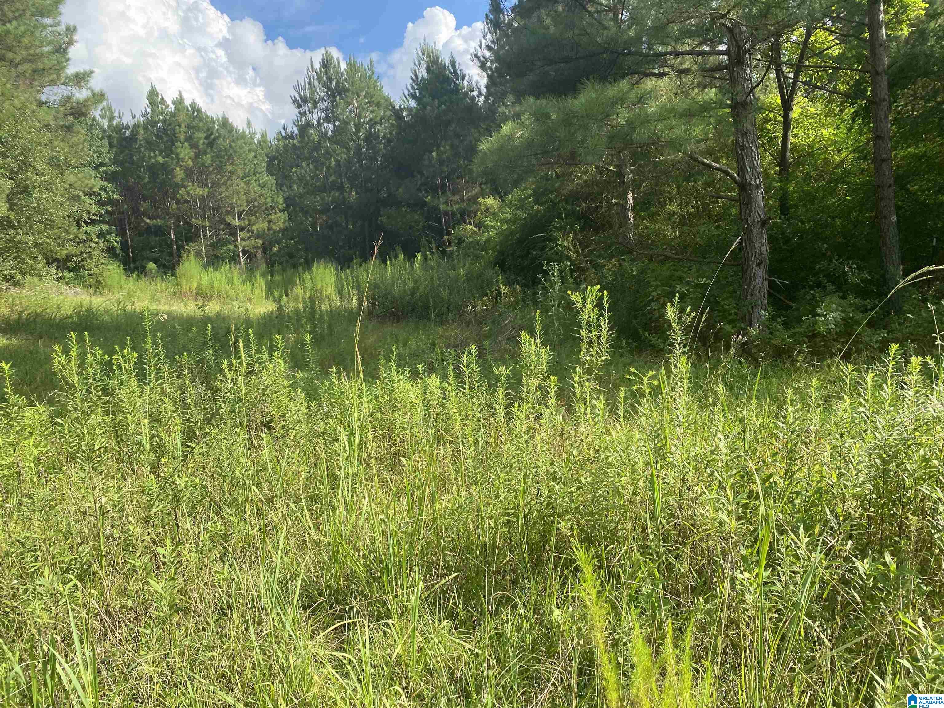 954 County Road 13, Unit 1 Cleveland, AL 35049 - Photo 15 of 19