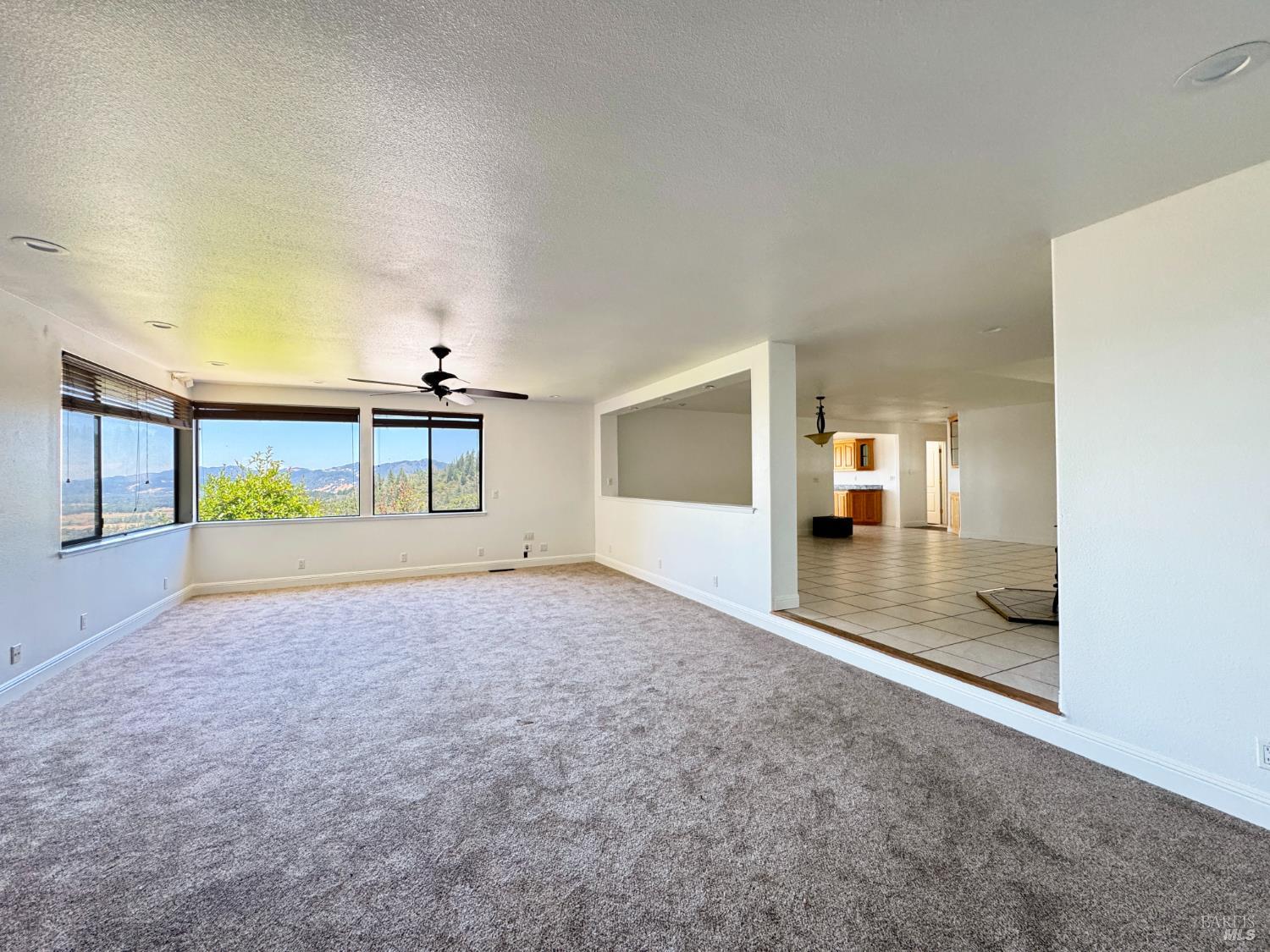 16990 Old Boy Scout Road Willits, CA 95490 - Photo 20 of 80