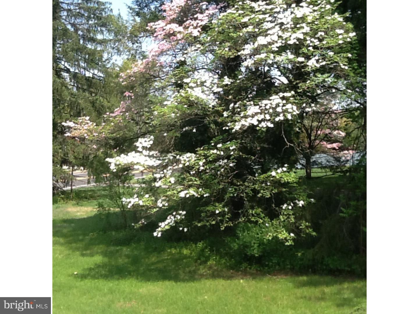 106 Fellowship Road Moorestown, NJ 08057 - Photo 7 of 19