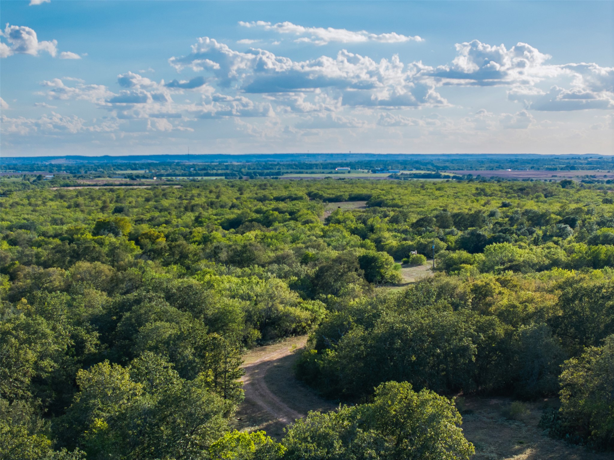 399 Seals Creek Road Lockhart, TX 78644 - Photo 35 of 40 Bird's eye view of a forest
